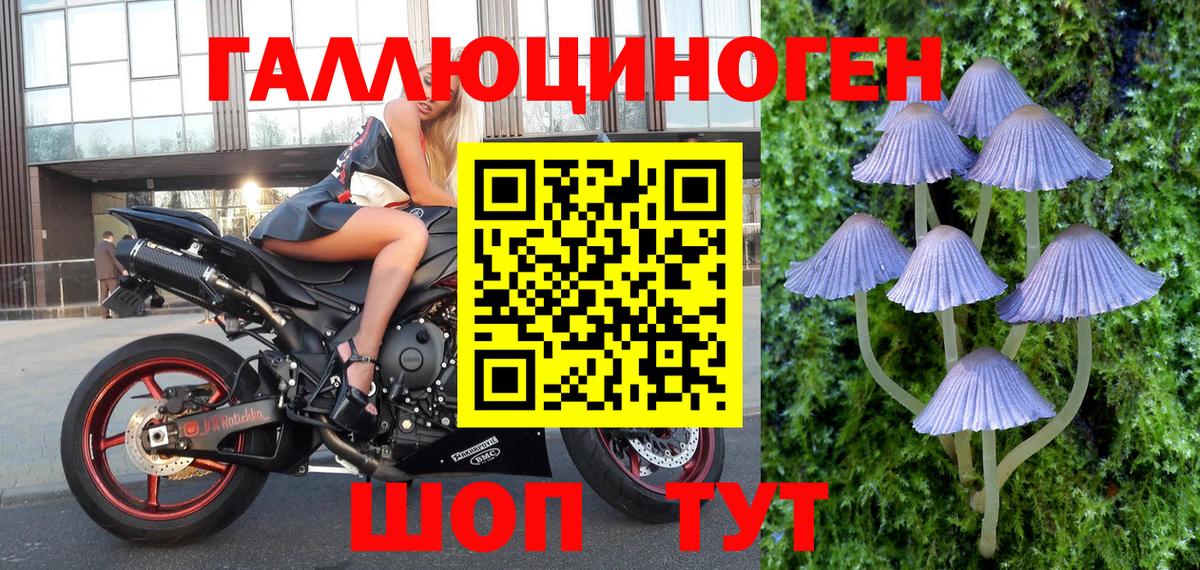 Галлюциногенные грибы MAGIC MUSHROOMS  Вход с VPN  дарнет шоп  Шебекино 