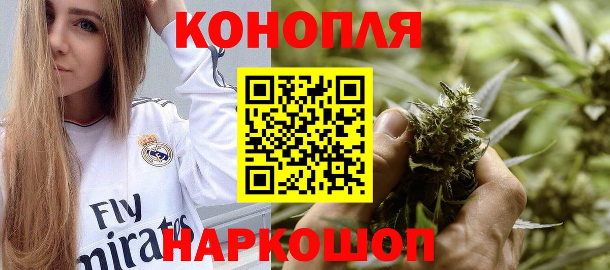 Бошки марихуана конопля  Вход с VPN  Шебекино  Марихуана тримм 